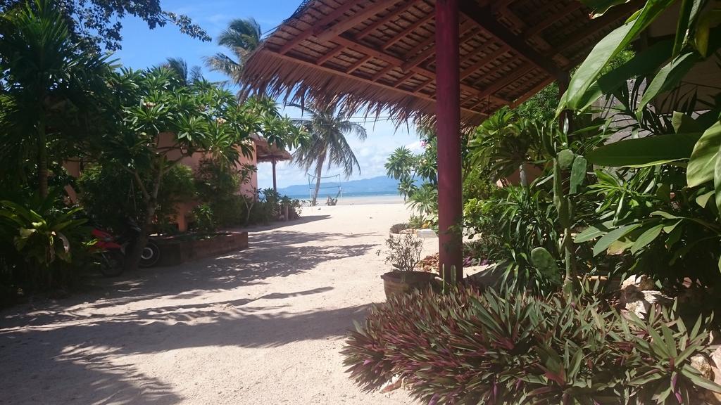 Papillon Bungalows Baan Tai Εξωτερικό φωτογραφία